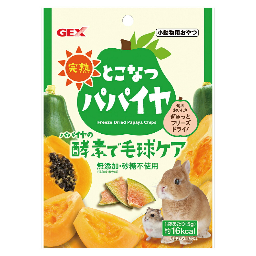 パパイヤ 4本セット 楽天市場】GEX ジェックス 完熟 とこなつパパイヤ 5g : エムスタ