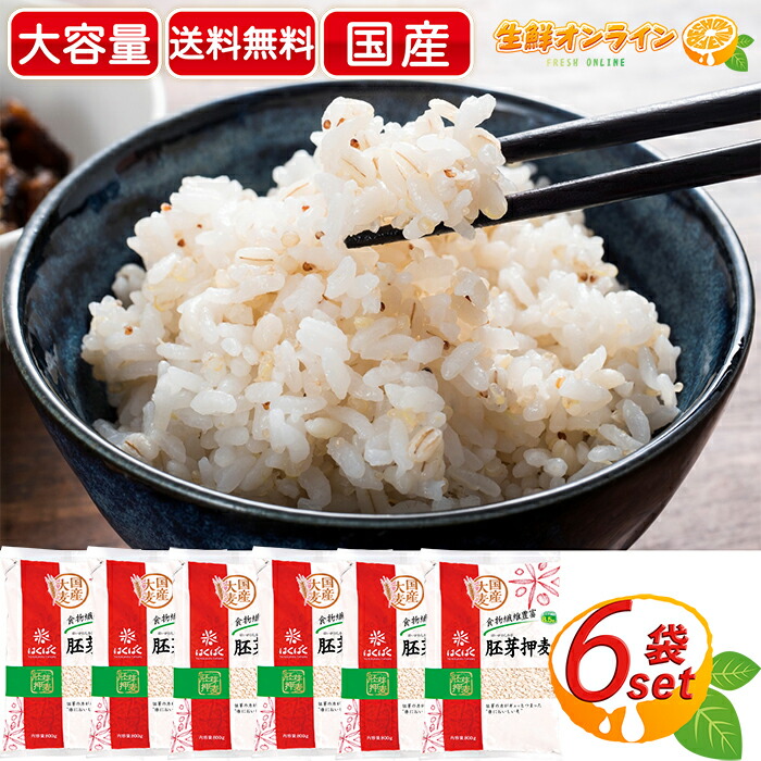 K*n様 ハネ米　砕け米　２０kg タネ混 楽天市場】≪30g×38袋≫【カネスコーポレーション】二十穀