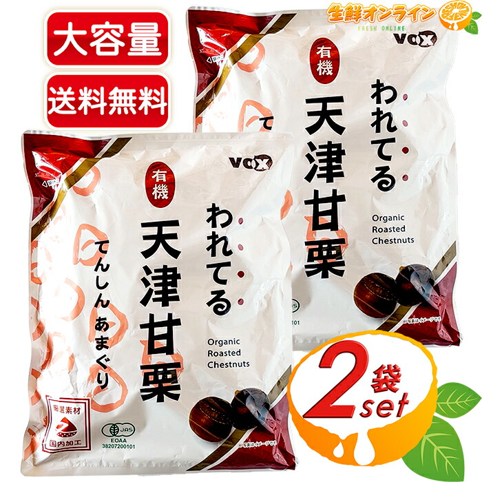 あまぐり クリ（栗）：倉方甘栗（くらかたあまぐり）5号ポット の通販
