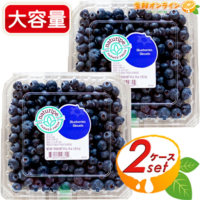 ≪510g×2ケース≫【コストコ】生ブルーベリー 大容量 ◎若返りのビタミン◎ ブルーベリー 果物 フルーツ スムージー ヨーグルト ジャム Blueberries クール冷蔵【costco コストコ コストコ通販】
