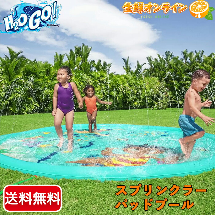 楽天市場】【INTEX】インテックス カバー付 フレームプール 300×200 