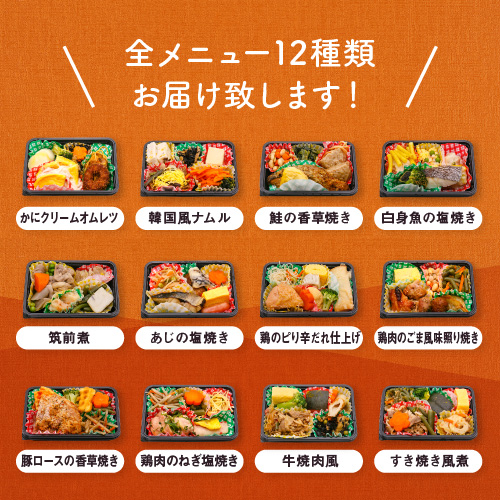 冷凍弁当糖尿病患者用12食セット