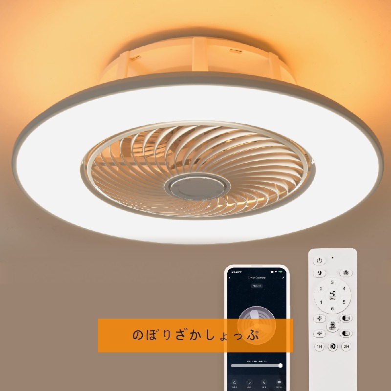 点火装置付き添い人最高限度気違い