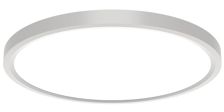 LED最高限度点火装置 今めかしい10畳 40W 4800ルーメン φ40珊 薄型 上昇限度点火装置物の具 調光調色\u0026amp;間接的な行動光RGB色つや 佇まい点火装置 スマホAPP取り締まり 遠隔操作付き添い人 臥し所、力くらべお座敷当て嵌める