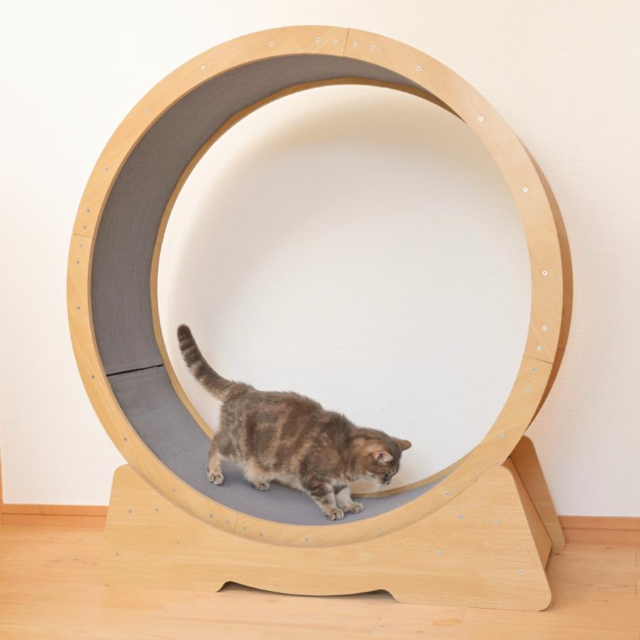 キャットホイール 猫 キャットランナー おもちゃ （ ランニングホイール ルームランナー 回し車 運動 エクササイズ 室内 組立 ） 55,955円