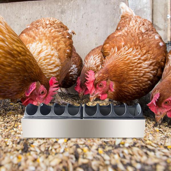 家禽用食らわせる器 トラフコンテナ 家禽用食らわせる御盆 オウム真理教 ひよこ 鳥用 40cmx11cmx7.5糎