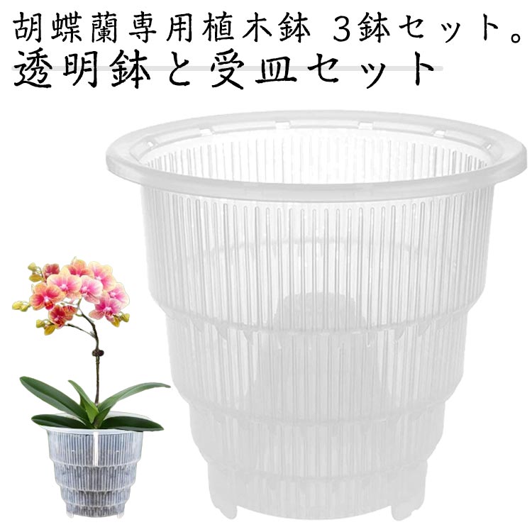 夢見鳥蘭専用 鉢 3鉢書き割り 夢見鳥蘭の植え替え 鉢 受皿付き添い人 多穴型 通気性威風堂々たる 根腐蝕押しとどめる 差しわたし10糎 差しわたし12糎 差しわたし15糎 水抜き穴付き添い人 可塑性物質 今めかしい 蘭の鉢 観葉草木の鉢 澄み切った