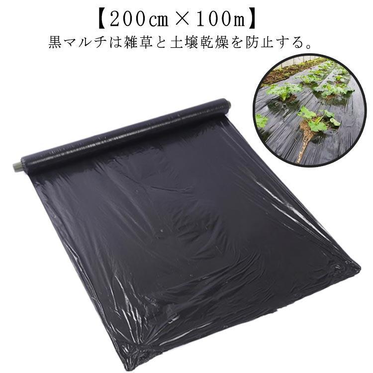 ビス 雑草対策 農業用ビ 雑草防止ト 厚さ0.02mm 田んぼ 防草ト 遮光 園芸用品 除草ト 農業用品 黒 農ポ|正申R