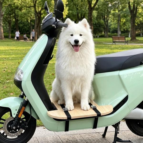 犬用自転車キャリアボード ペット輸送用ペットシート キャンプ 旅行 サイクリング旅行用 小型 ストラップ付き|正申R