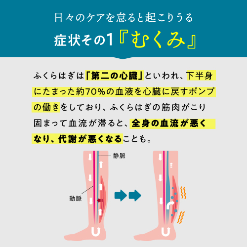 Rakuna整体脛敷き栲 足枕 足 足用法 枕 疲れ 足の疲れ むくみ だるさ つる フット フットピロー 肩口 お腰 ふくらはぎ 腿 整体 整体老師 立ち仕事 テレワーク デスクワーク ごろ寝 裏 洗える 寝てる間隔 ズレにくい 供え 引出で物 Rakuna Lanuitdessoudeurs Fr