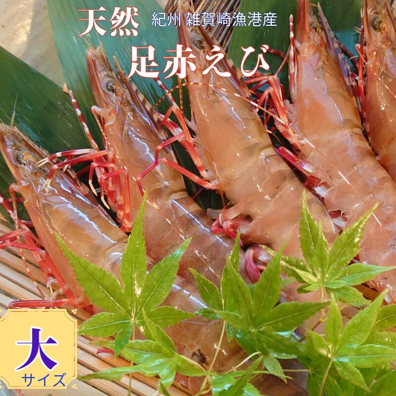 えび imgrc0120538698.jpg