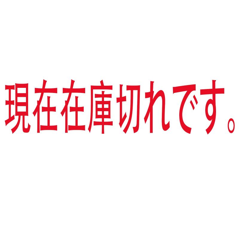 ワイヤレス イヤホン LED残量表示 (白)