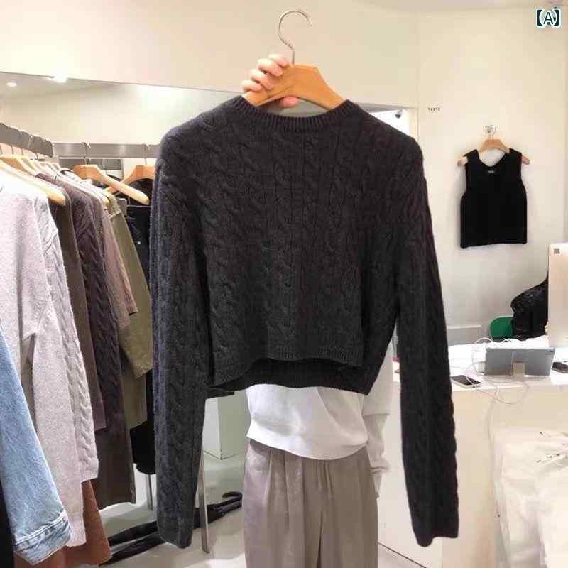 レディース ニット セーター ヨーロッパで 人気の 黒の ラウンド ネック 長袖 ソフト ラクーン フリース ニット セーター レディース 秋 冬 ショート トップス
