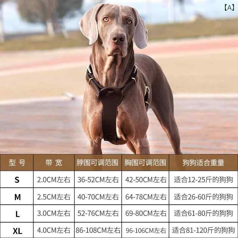 わんちゃん　ハーネス　かわいい 犬用 トップレイヤー 牛革 ベスト スタイル チェストハーネス 革 牽引 ロープ ゴールデンレトリバー 中型 大型 犬 ペット