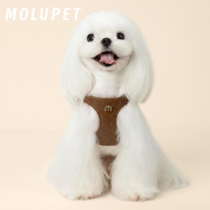 ペット用ハーネス 小型犬用 リードセット 犬用 胴輪 引き紐 散歩用 ペット用品 本革調 レザー調 脱げない 防脱走 簡単装着 胸背帯 ペットグッズ お出かけ用品 丈夫 耐久性 高品質 柔らかい 快適なフィット感 おしゃれ かっこいい かわいい ペットリー｜SEIYUショップ