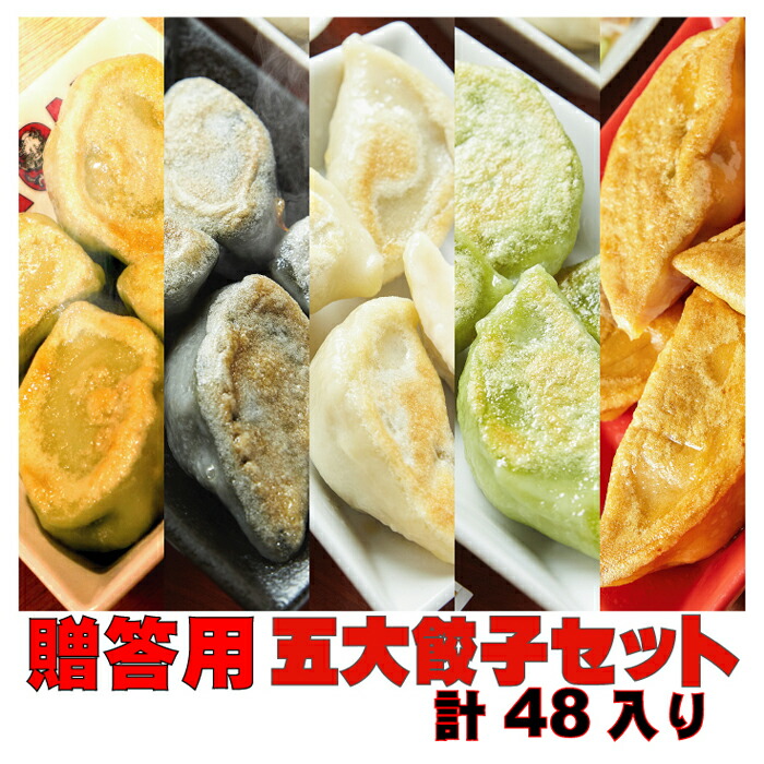 贈答用 五大餃子セット 白龍餃子 青龍餃子 セロリ餃子 黒龍餃子 レッドドラゴン 48個入り 餃子 PAIRON 肉汁餃子 手延べ 手包み ぎょうざ 冷凍餃子 点心画像