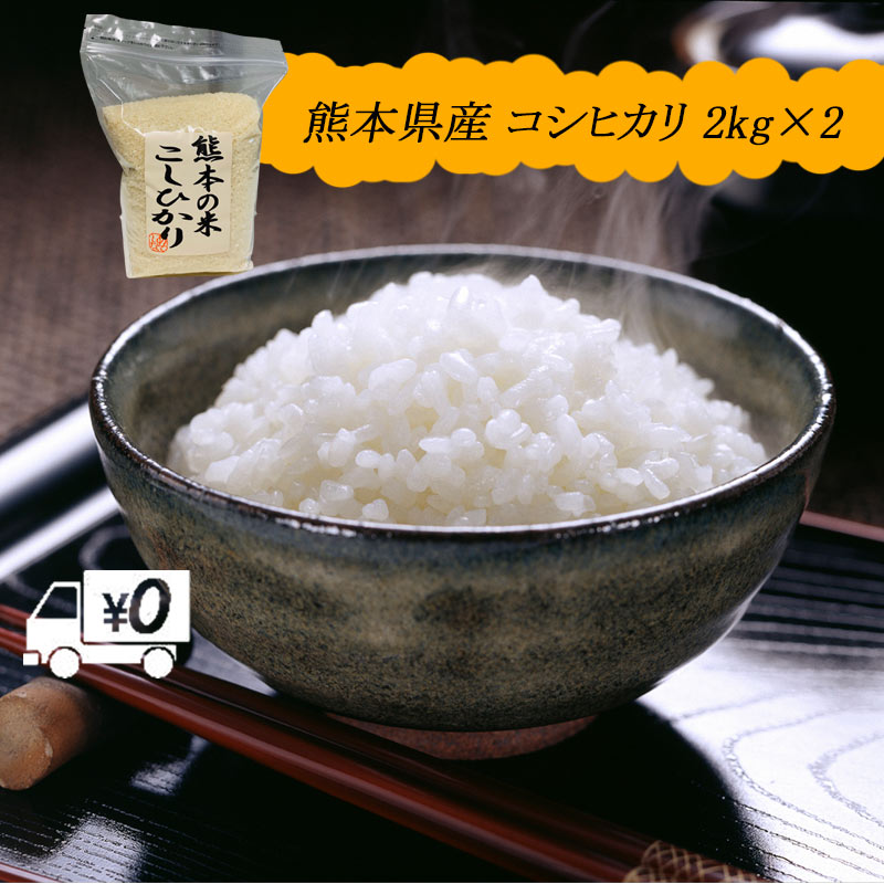 楽天市場】令和３年 送料無料 熊本のおいしいお米 森のくまさん 300g×30 合計9kg 熊本県産100% : セカデパ