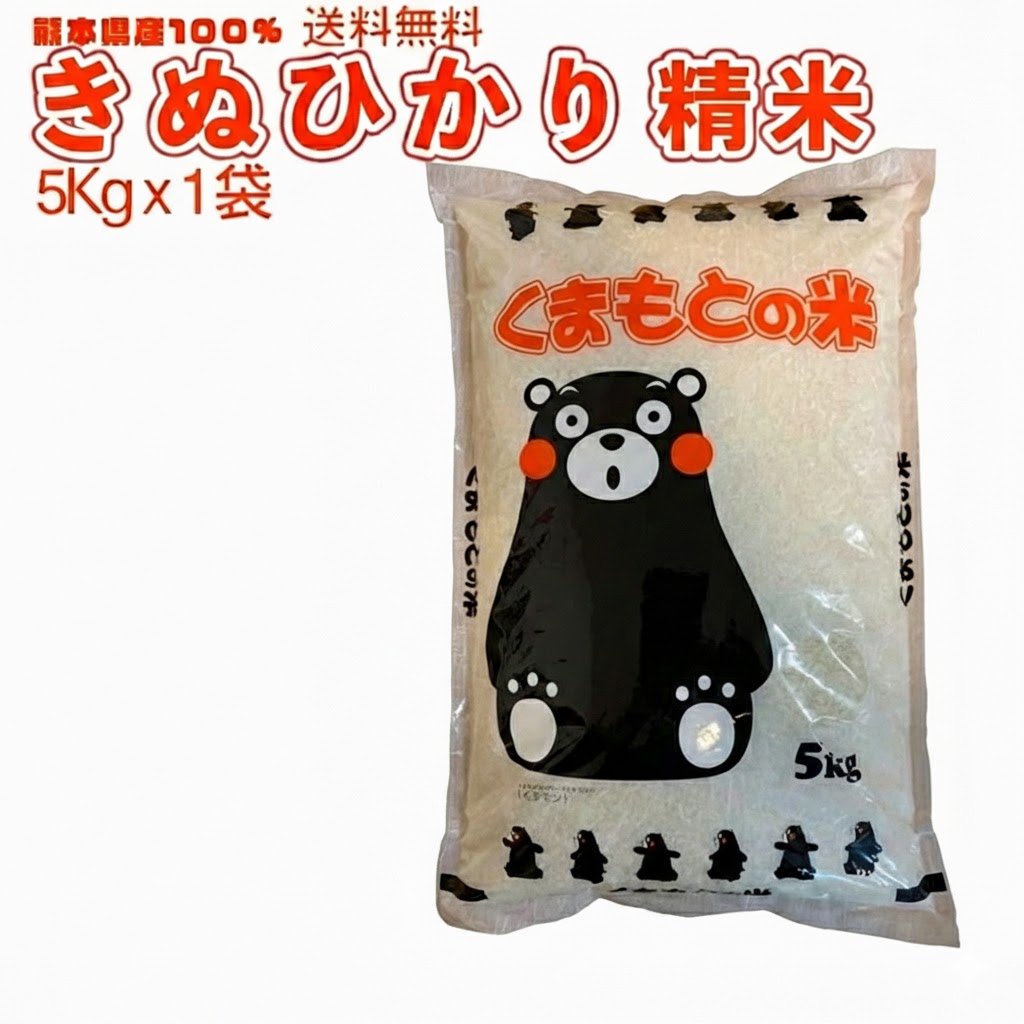 令和7年 お米 5kg 10kg 15kg 精米 熊本県産100%『きぬひかり』 5kgパッケージ 白米 単一国産米 くまモン プレゼント 粗品などにも最適