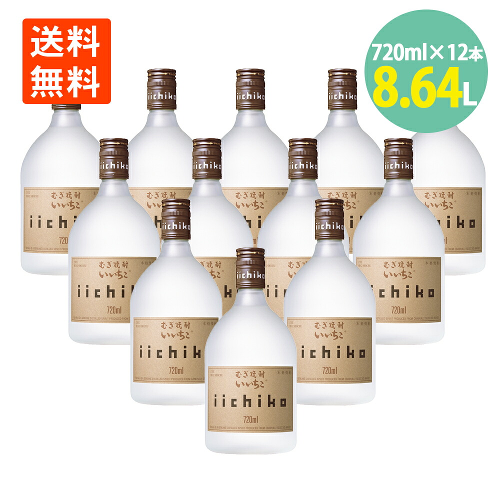 いいちこシルエット 720ml&times;12本 いいちこ 25度 12本 麦焼酎 三和酒類 iichiko 焼酎 送料無料｜世界の珍味