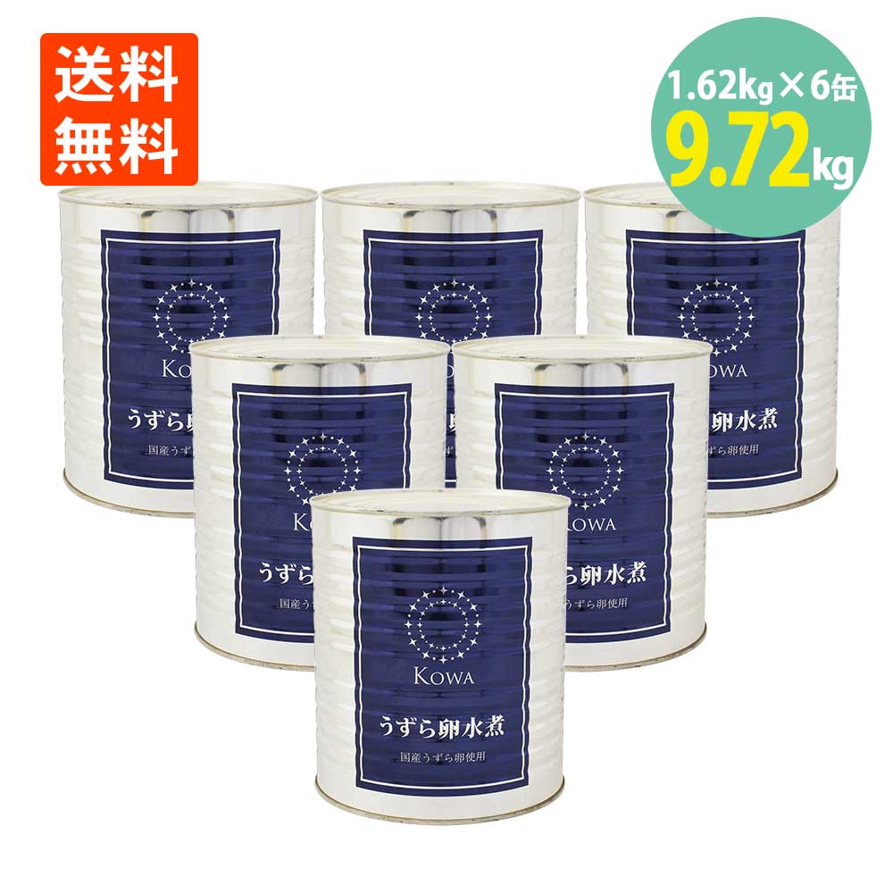 光和 国産うずら卵 1号缶 1620g×6缶 天狗缶詰 大容量 お弁当 おでん 水煮缶 業務用 学校給食|世界の珍味
