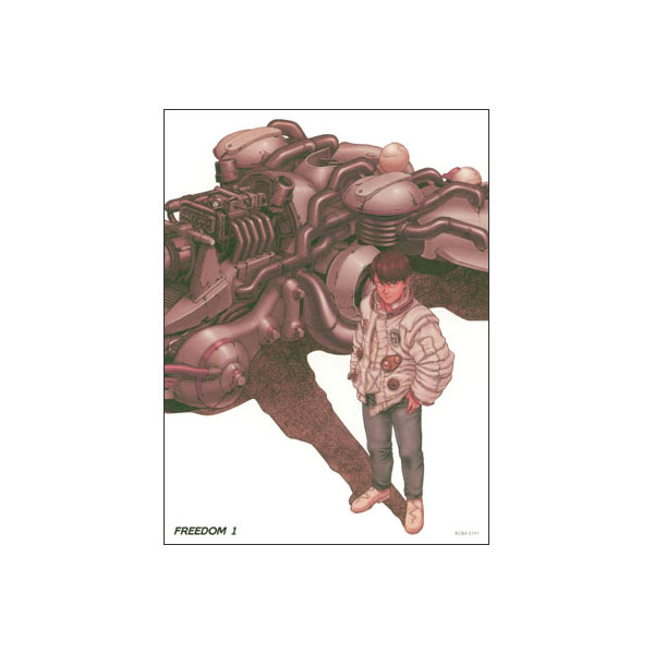 輝く高品質な 送料無料 新品 ｆｒｅｅｄｏｍ フリーダム Dvd全6巻セット 送料無料 Pwyp4wznlm2s Bhavaspa Com