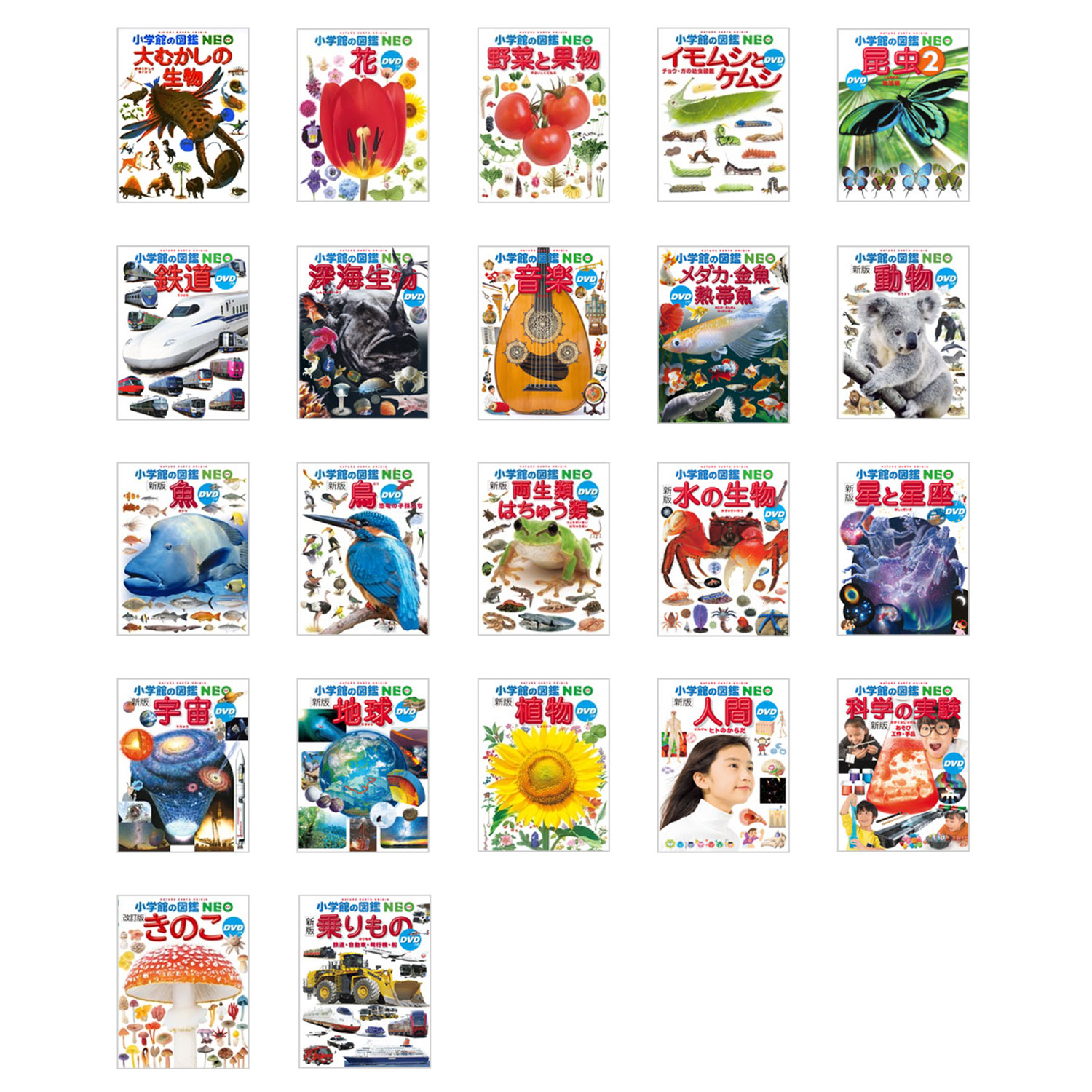 小学館の図鑑NEO【新版】ドラえもんDVD付き 5冊セット 図鑑NEO 基本 5冊セット |本 | 通販 | Amazon