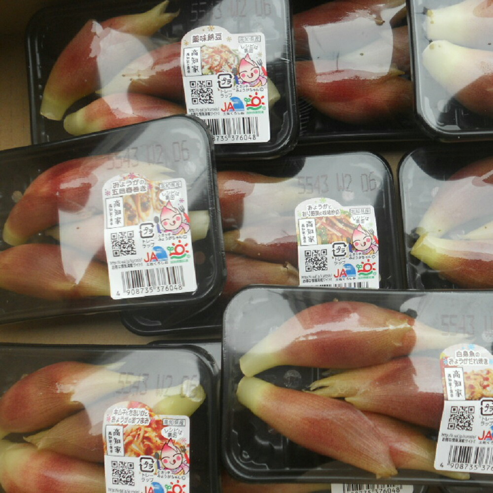 【送料無料】高知産みょうが約1Kgただし北海道沖縄は、送料500円のご負担お願いします。