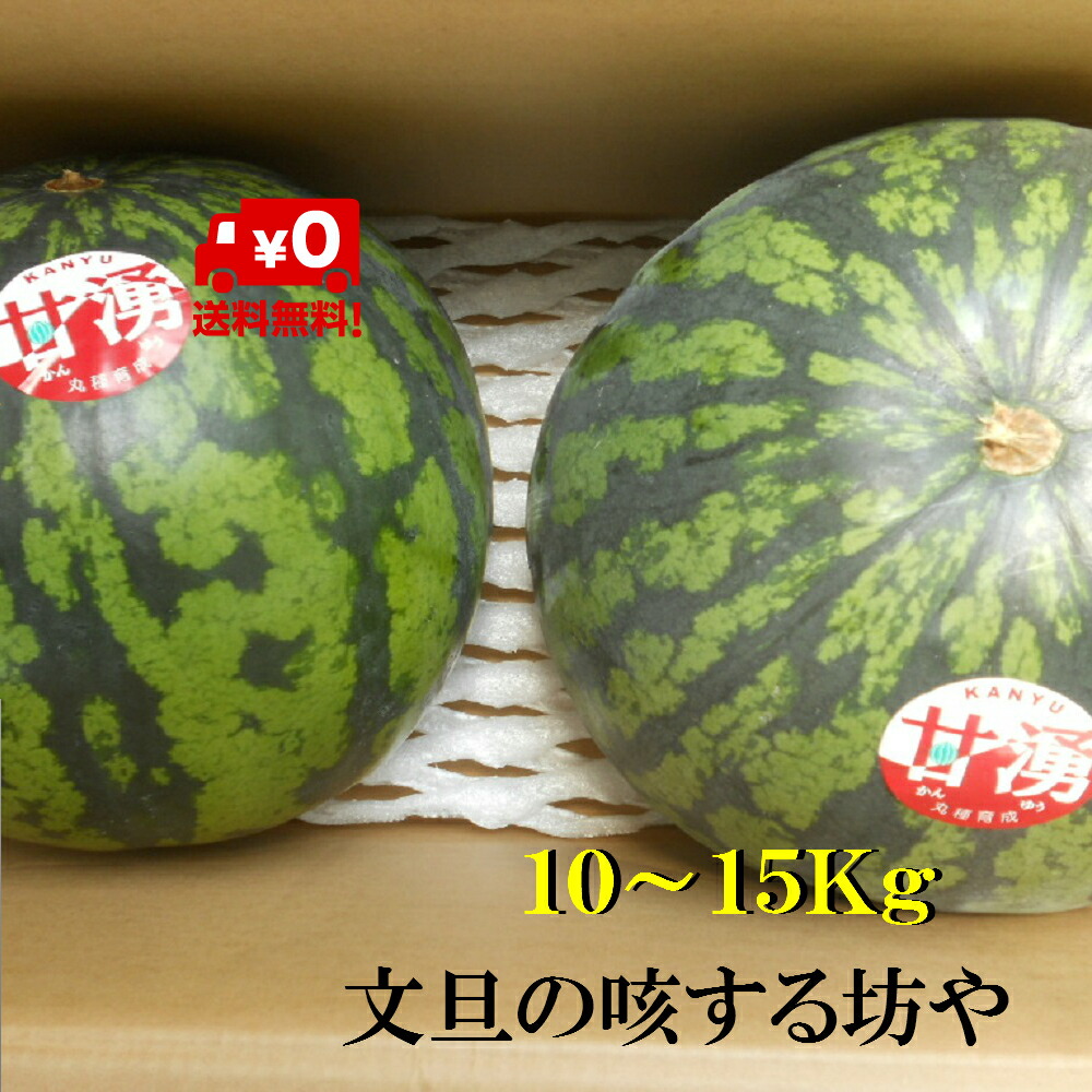 【送料無料】【日にち指定不可】高知産大玉すいか２玉入り　家庭用　ただし北海道沖縄は、送料１０００円のご負担お願いします。