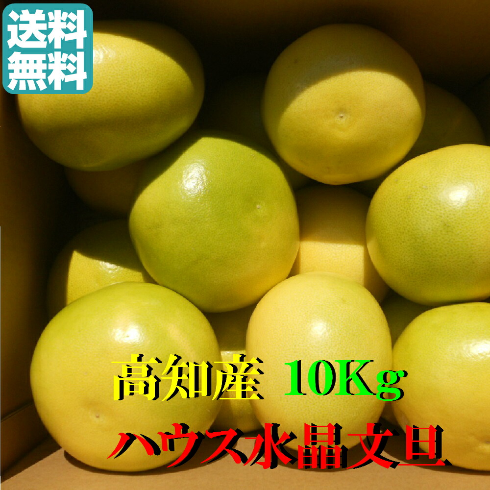 楽天市場】【送料無料】こだわりの高知産ハウス文旦 約５Ｋｇ文旦 温室