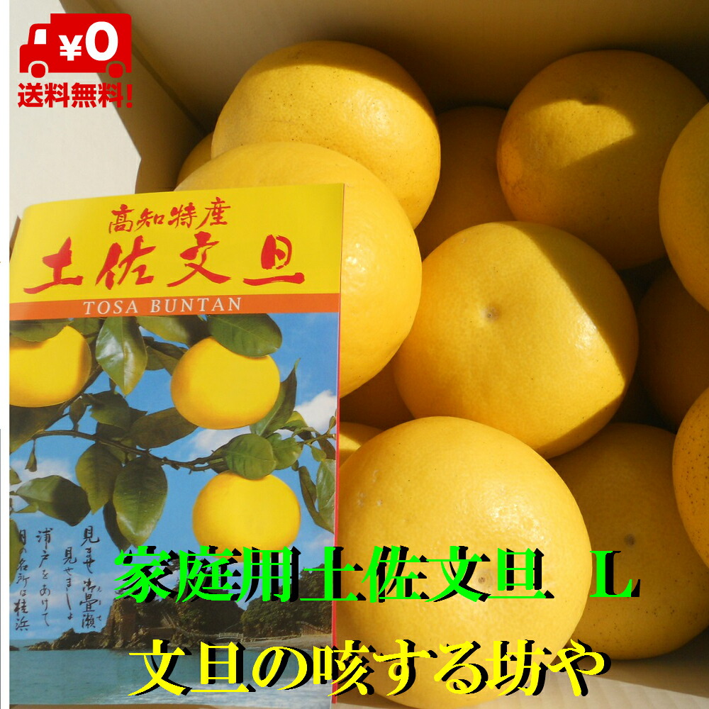 楽天市場】【送料無料】高知産 約10Kg 訳あり土佐文旦 2L箱