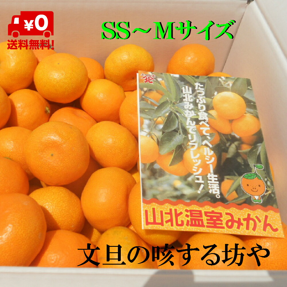 【送料無料】【日にち指定不可】高知産ハウスみかん５Ｋｇ　サイズSＳ～Ｍ、希望サイズをお届けします。連絡先は、お問い合わせにて。山北みかん　贈答用赤秀品　ただし北海道沖縄は送料１０００円（１００サイズまで）のご負担お願いします。そろそろ終了です。