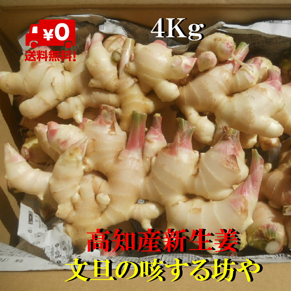高知産　洗い囲い生姜　４Kg　北海道沖縄発送不可 高知産 洗い囲い生姜 4Kg 北海道沖縄発送不可の通販 by 土佐の