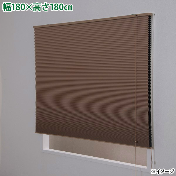 【直送】【年月日任ずる不可】盛りだくさんネス ハニカムプリーツシェード 彩 L6406 遮光ベージュ【北海道・沖縄・離島送りとどける不可】