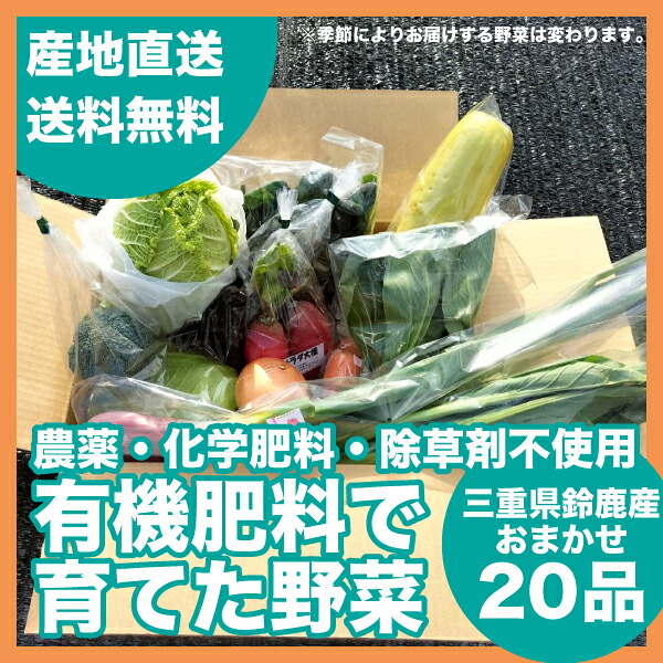 有機肥料で育てた野菜 旬野菜のおまかせセット 20品 農薬化学肥料除草剤不使用 送料無料(関東・東海・関西・北陸・信越に限り) 根菜 葉茎菜 果菜 季節野菜 関戸園芸