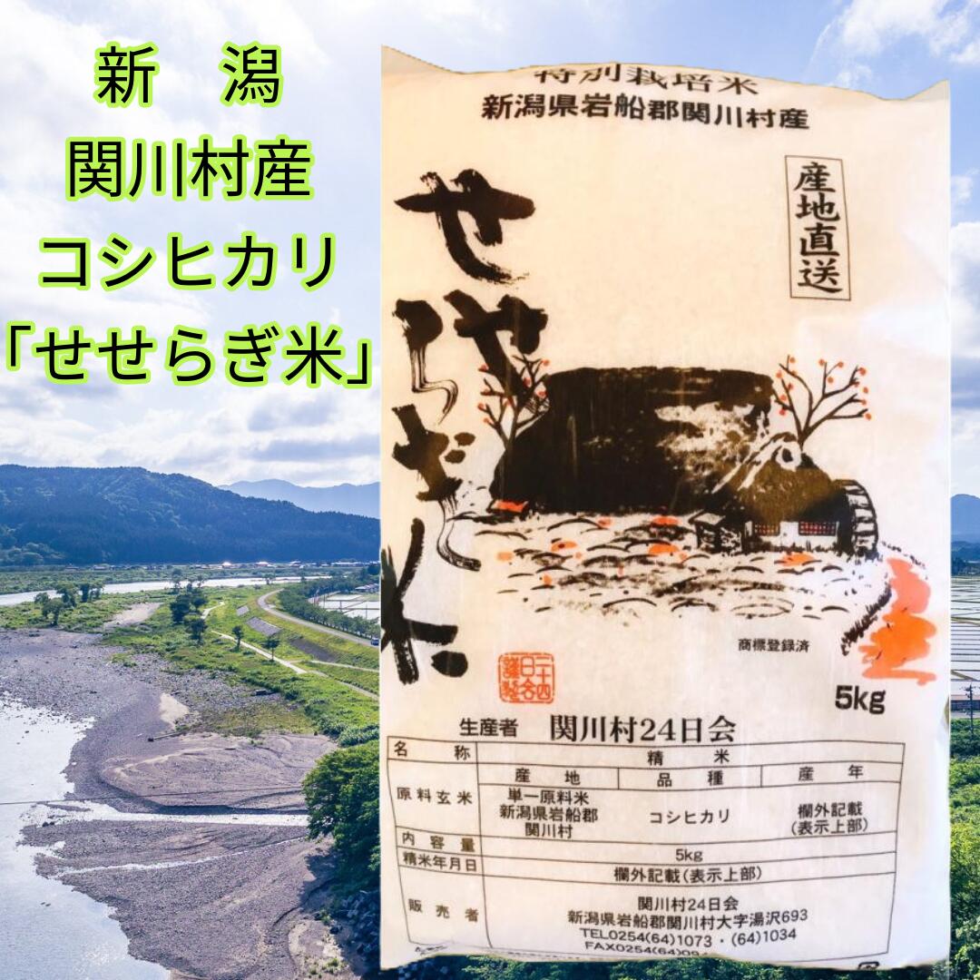 【令和７年度産 （精米2026年4月）】新潟 関川村産 コシヒカリ せせらぎ米 湯沢地区 白米 岩船産コシヒカリ 岩船米 新潟 米 新潟県産米 新潟県産コシヒカリ 関川村 用助商店 津野