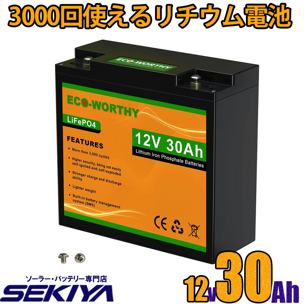 【楽天市場】リン酸鉄リチウム電池 12v 20Ah 256Wh 3000回寿命 BMS保護 軽量 コンパクト LiFePO4 ディープサイクルバッテリー  サポート無料 SEKIYA : せきや