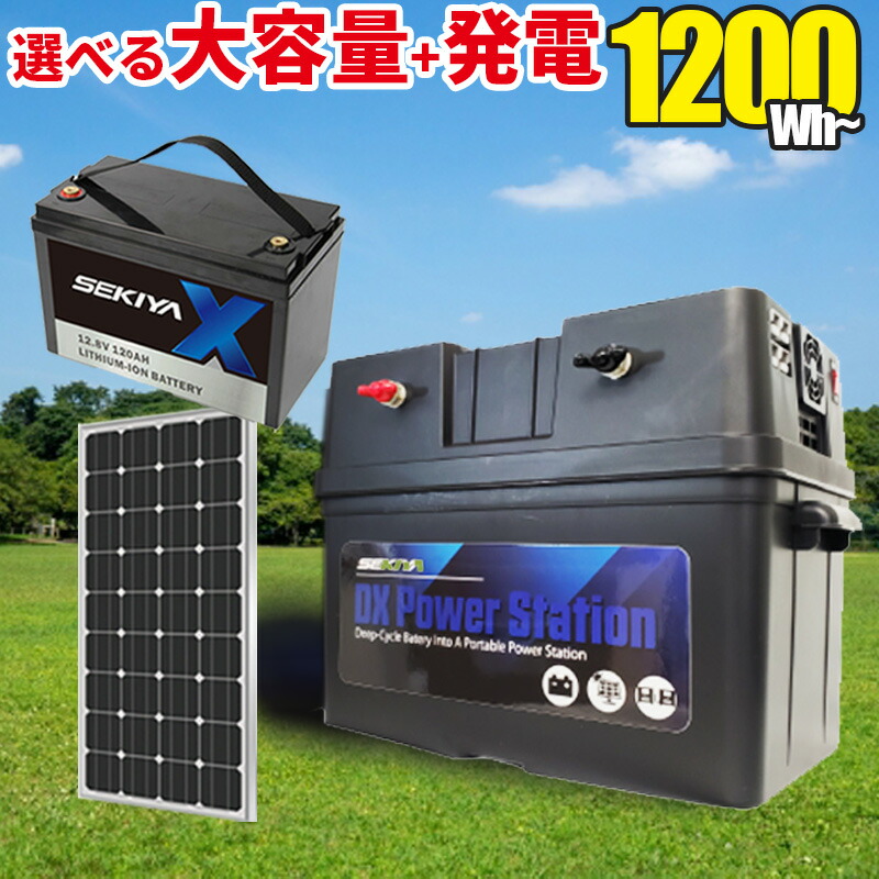 定格 1000W 最大2000W 純正弦波 家庭用 AC DC インバーター AC100V 110V SEKIYA ☆送料無料☆ 当日発送可能