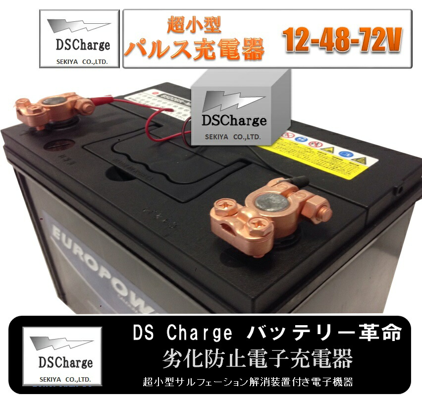 楽天市場】バッテリー自動再生 小型パルス ホワイト 2個セット DS Charger DSパルス DSチャージャー 乗用車 大型用 バッテリー交換不要  宮崎県ものづくり大賞受賞 九州経済産業局認定技術 サポート無料 SEKIYA : せきや