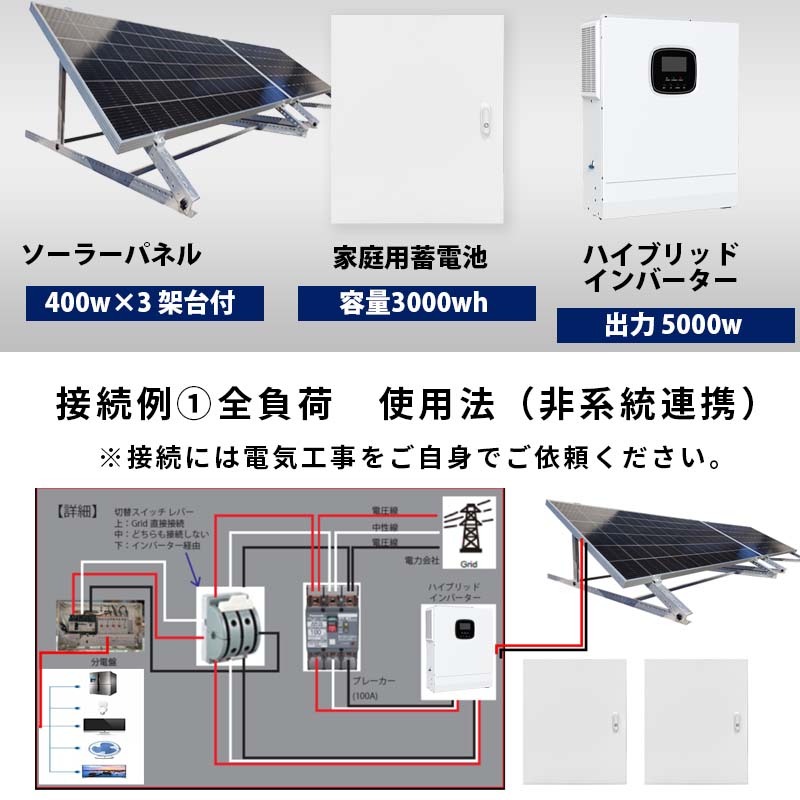 新規購入 株式会社関谷店最安にして最強 2050ハイブリッドインバーター