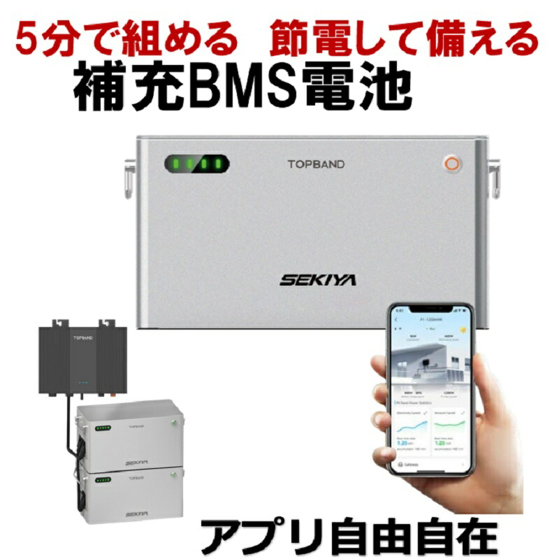 楽天市場】「増設用電池のみ2048Wh] 5分で作れる 家庭用蓄電池 プラグ