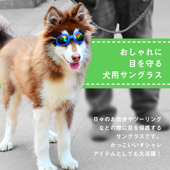 楽天市場 犬 サングラス ゴーグル 全6色 大型犬 から 小型犬 まで対応 Uvカット 400nm 折りたたみ可能 Seleco
