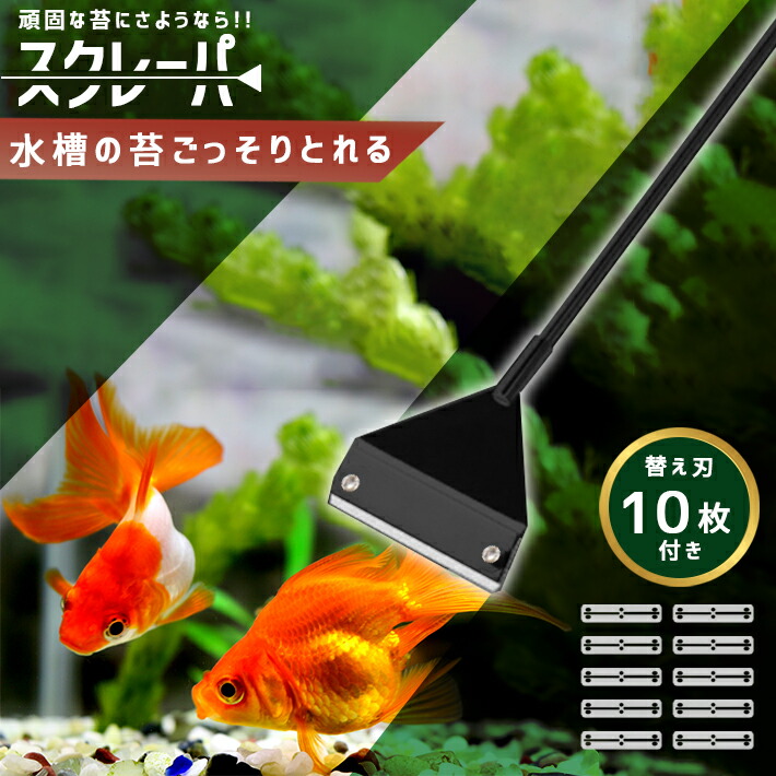 楽天市場 スクレーパー 全長65cm 超ロングタイプ 替え刃10枚付き ごっそりこそげ取る 水槽掃除用具 Seleco