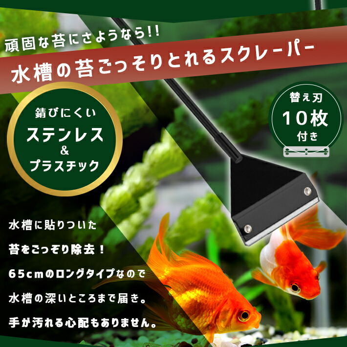 楽天市場 スクレーパー 全長65cm 超ロングタイプ 替え刃10枚付き ごっそりこそげ取る 水槽掃除用具 Seleco