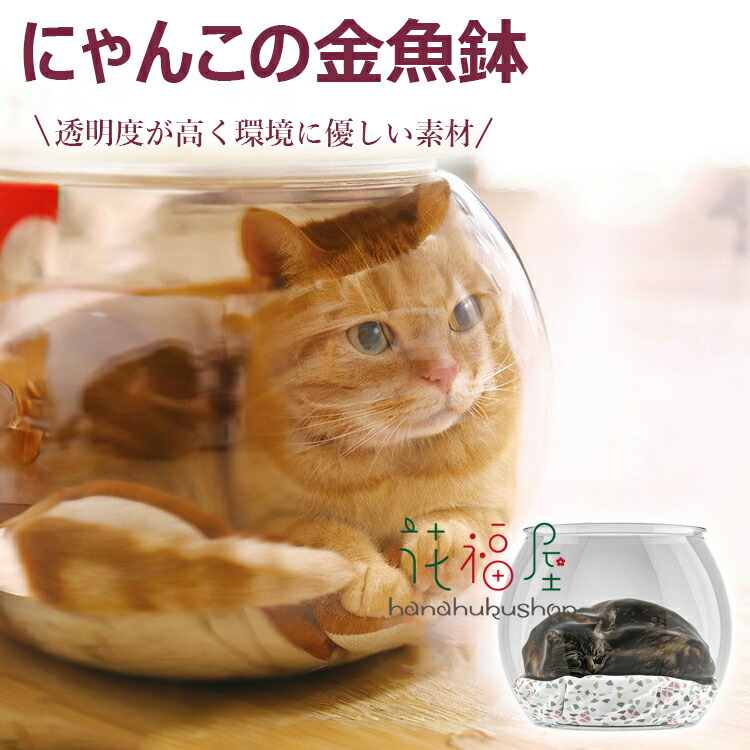 アウラ社製金彩黒猫 アウラ社製金彩黒猫