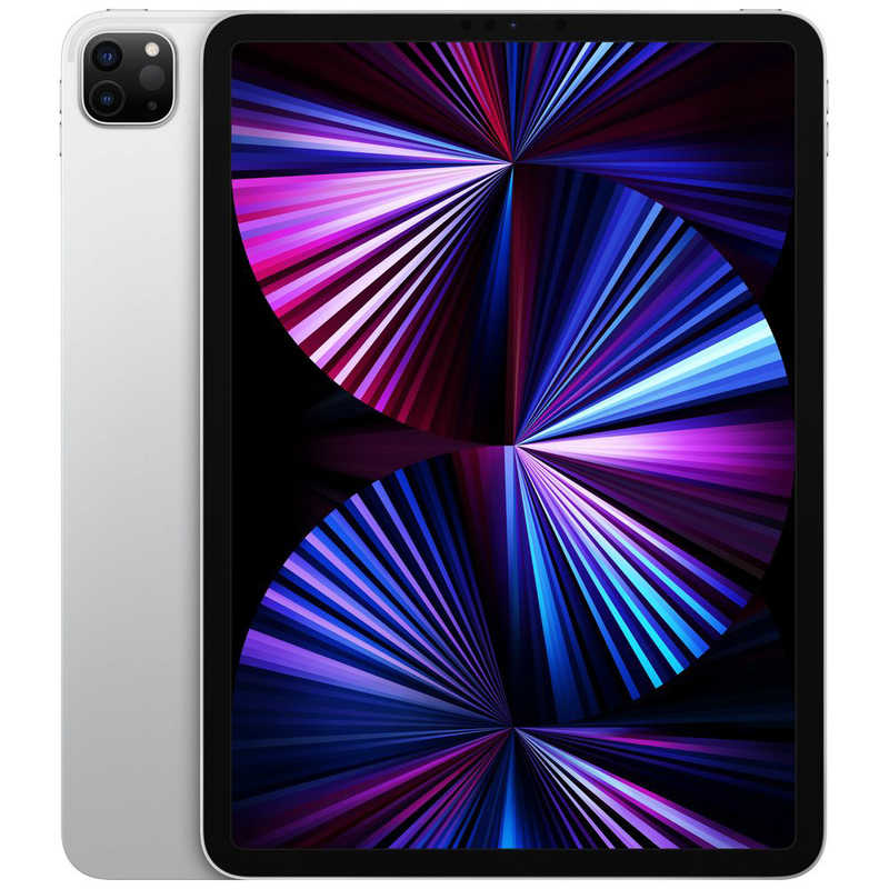 2021 Apple 11iniPad Pro (Wi-Fi, 2結核症) - しろがね色