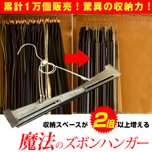 もっとお得な30個セット 当日配送 ズボンハンガー Hls Du 防災用品 販売数1万個突破 ズボンハンガー あす楽 ズボン すべらない 炭八 当日配送 セット クローゼット 薄い ズボン用 ハンガー 旅行 便利グッズ 旅行用品 収納 スラックスハンガー Diyとプロ