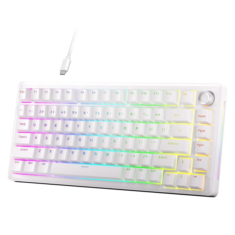 DIERYA DK81E ゲーミングキーボード ガスケットマウント構造｜メカニカルキーボード 有線 ボリュームノブ搭載｜RGBバックライト｜ホットスワップ対応クリームスイッチ｜ゲーミングキーボー