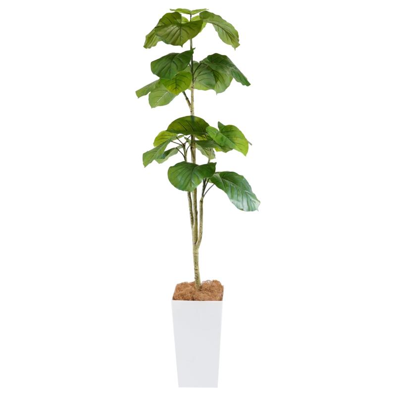 Botanical life+ フェイクグリーン 観葉植物 光触媒 大型 消臭 抗菌 Kシリーズ