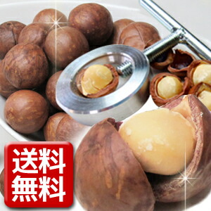 信託 送料無料 殻付きロースト マカダミアナッツ 新型ナッツクラッカーセット 500ｇ 最大96％オフ！