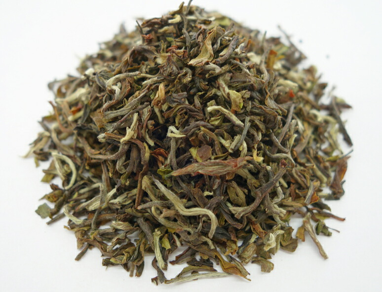 ダージリン 2023年 セカンドフラッシュ キャッスルトン茶園 500g DJ-158 FTGFOP1(TIPPY/CL)|紅茶&スイーツのセレクティー